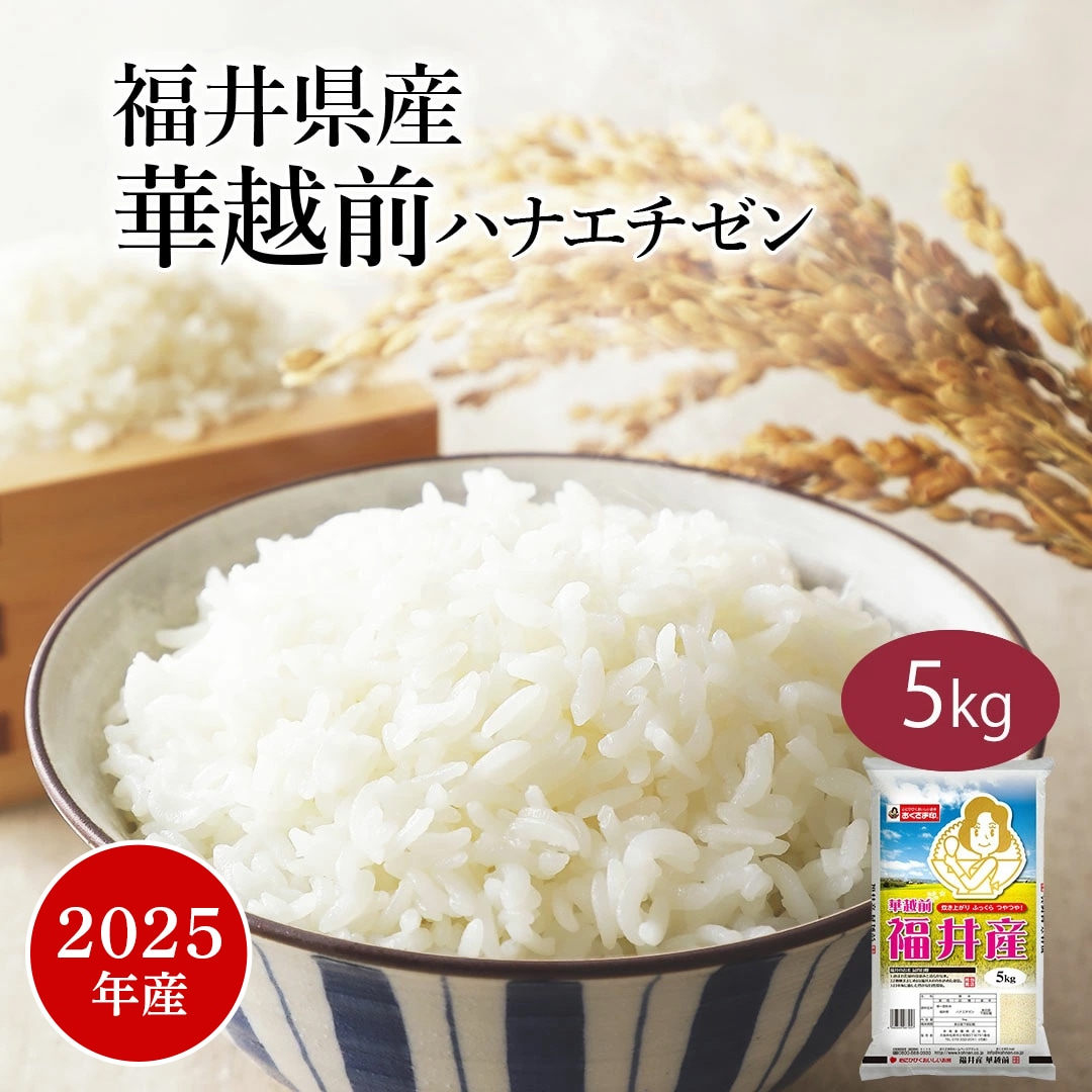 米 福井県産 華越前 ハナエチゼン 5kg 令和7年産 お米 こめ 5キロ 安い おこめ 白米 国産 食品 ギフト 引っ越し 挨拶 内祝い お歳暮 おくさま印