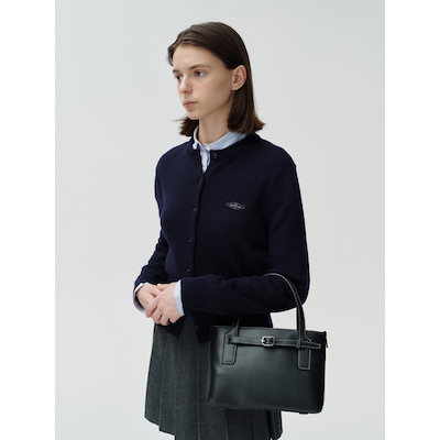 混元太極拳 陳氏太極拳 馮志強 出口衆太郎 VHS•DVDセット [動作確認済