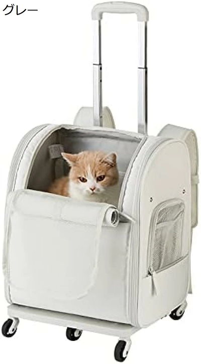 レア品‼︎モンゴル800 ピック レア品‼︎モンゴル800 ピック 【公式通販】