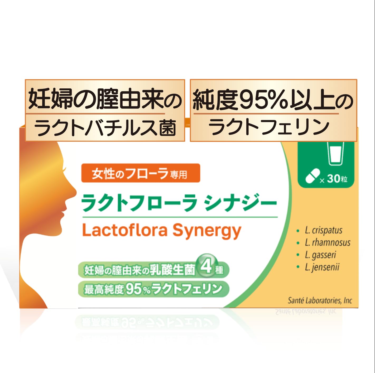 ラクトフローラ シナジー Wの効果（ラクトバチルス生菌４種＋高純度95% ラクトフェリン 150mg配合）腸溶性カプセル 単品