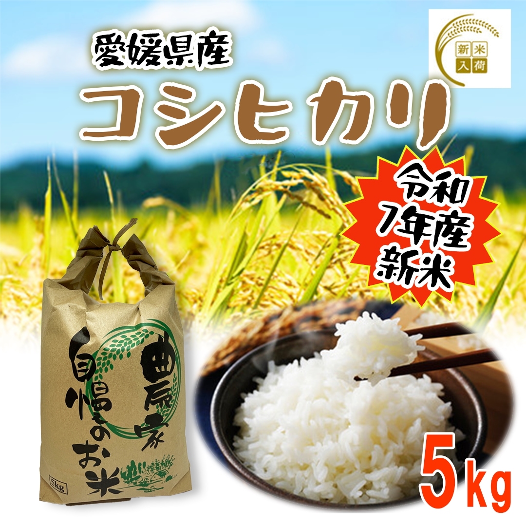 令和7年産　愛媛県産コシヒカリ 5kg 新米入荷！