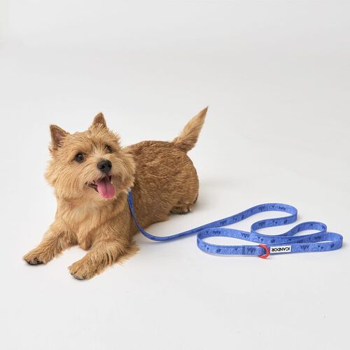 ペット SET商品 CAPRI WATERPROOF COLLAR+LEASH_OUTBAG 犬用ハーネス ペット用品 犬用 ドッググッズ
