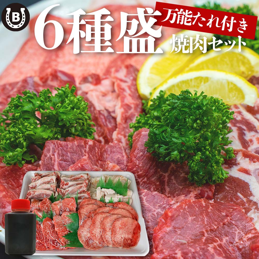 お肉 盛り合わせ 6種 約740g ( 2-3人前 ) ファミリーセット お肉専門店仕入れ 万能タレ付き カルビ テッチャン ハラミ 焼肉セット 和牛 厚切り 牛タン 盛り合わせ 大容量 万能タレ 7,656円