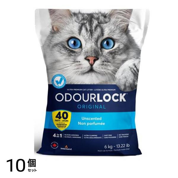 インターサンド ODOURLOCK(オードロック) 猫砂 鉱物タイプ 6kg 10個セット
