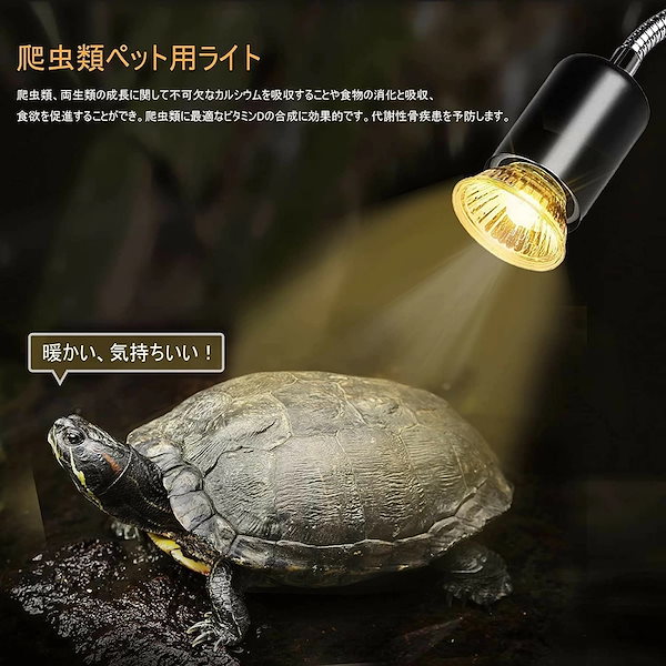 爬虫類等飼育セット(ケージ・保温ランプ・給水器・紫外線ランプ・カルシウム粉末) Amazon | スドー クレス お迎え 6点 飼育セット レプティギア