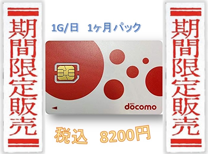 SIM高速データ容量1G/日1ヶ月プラン