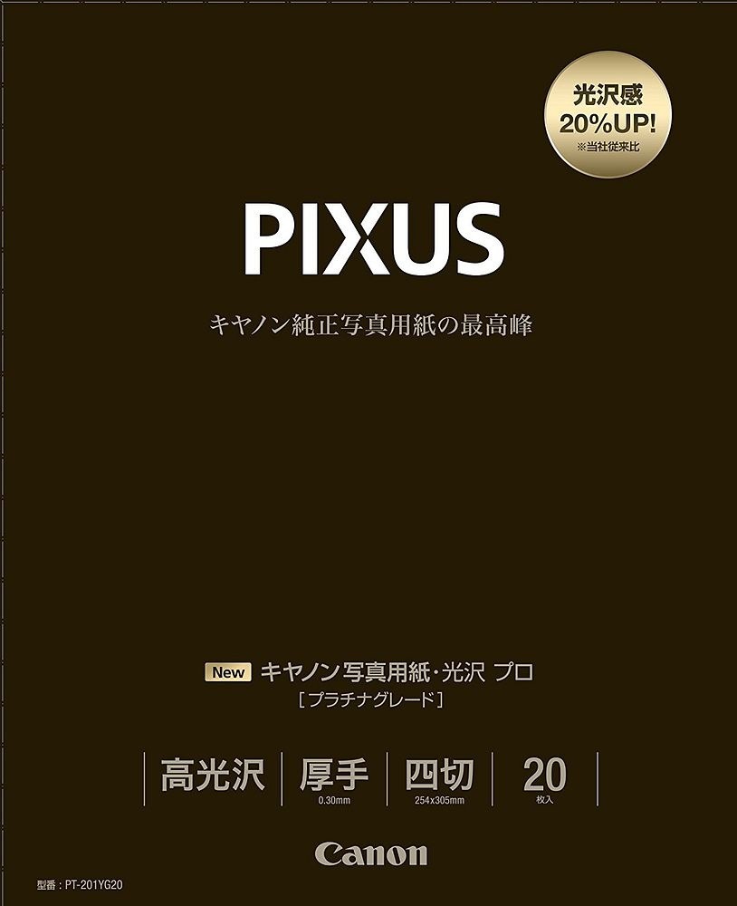 （まとめ買い）写真用紙 光沢 プロ プラチナグレード 四切 20枚 PT-201YG20 [x3]