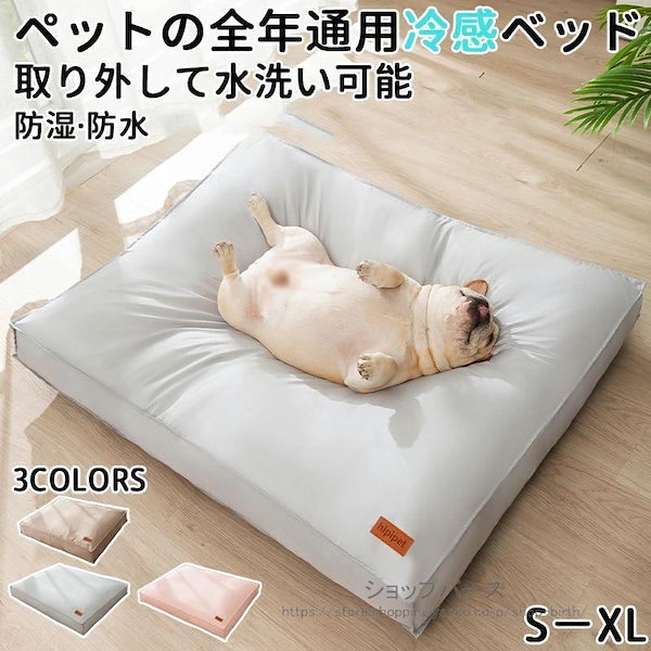 もち様 ライトブルー もちネコ 様 おもちさん zx(おもち) (@zx_aka_mo) / X