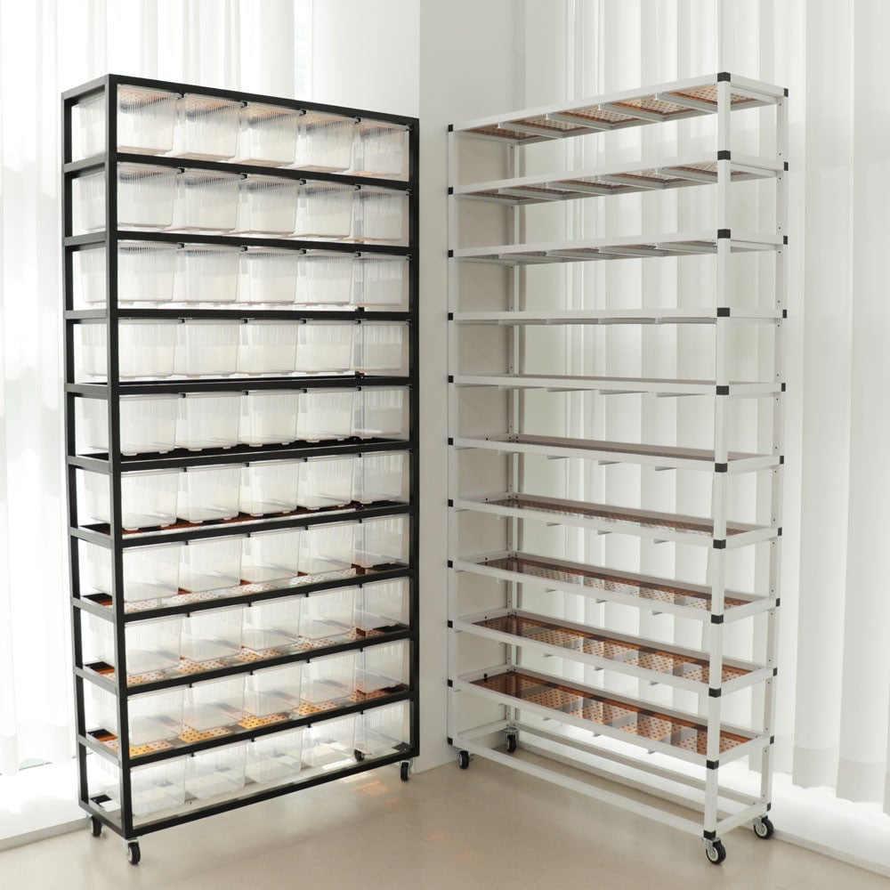 ブリーダーラック Qoo10] REPAZ 組み立てブリーダーラックブラ : 爬虫類・両生類