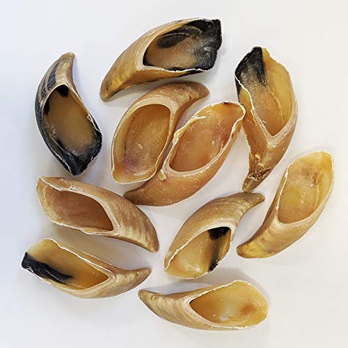 無添加 牛のひづめ 10個入り 犬のおやつ