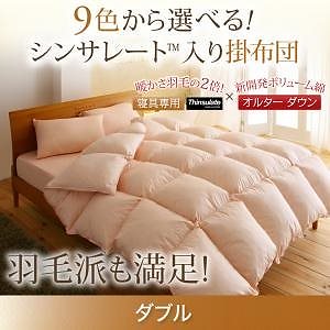 9色から選べる!シンサレート入り掛布団 ダブル アイボリー