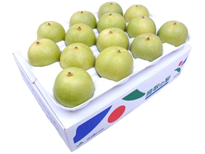 鳥取産 =二十世紀梨= 秀品 大玉12-18玉 約5kg 予約 8月末以降