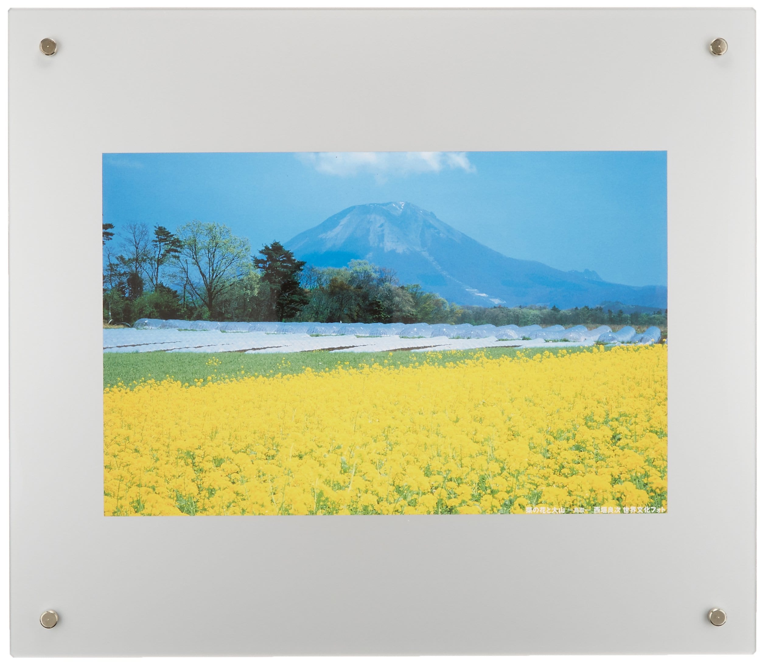 FUJICOLOR 額縁 プロフレーム 4切ノートリ 4切 アクリル シルバー 40104