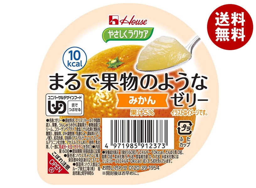 ハウス食品 やさしくラクケア まるで果物のようなゼリー みかん 60g＊48個入