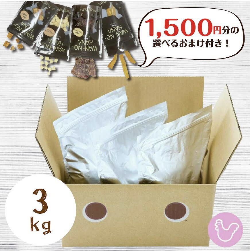 【1000円分のおまけ付！】【送料無料】ドットわん鶏ごはん　3kg【受注発注】プレミアムフード