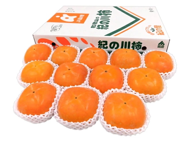 和歌山産 =紀ノ川柿= 秀品 12-13玉入 約3.5kg 大玉限定 化粧箱 予約 10月中旬以降