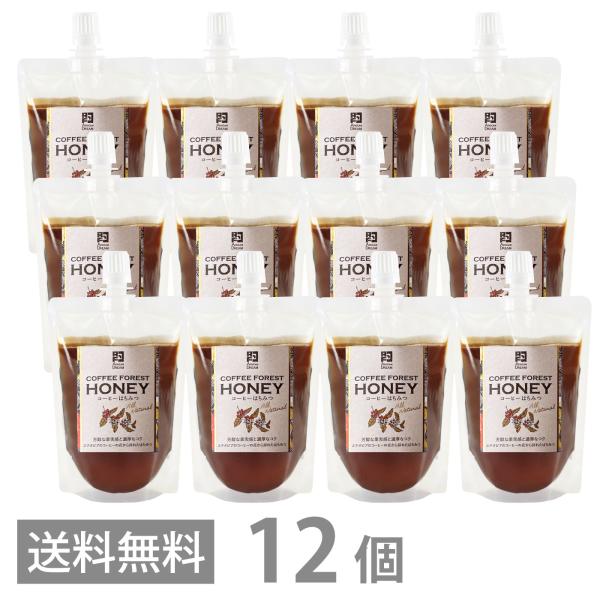 COFFEE FOREST HONEY コーヒーフォレストハニー 170g ×12 はちみつ 生ハチミツ 自然食 非加熱 パウチ シロップ 砂糖 紅茶 ミネラル