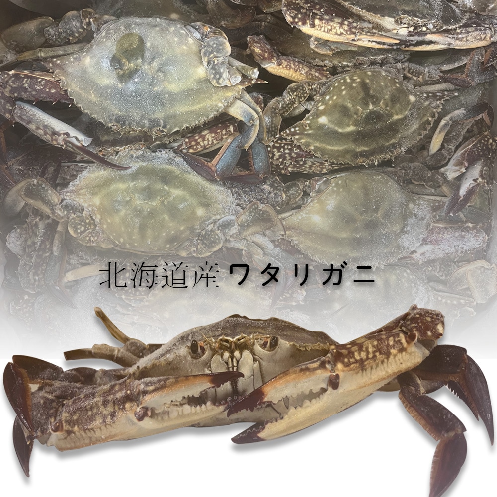 【冷凍】北海道産ワタリガニ1kg！！北海道産premiumかに　北海道からとれたワタリガニ！　オス