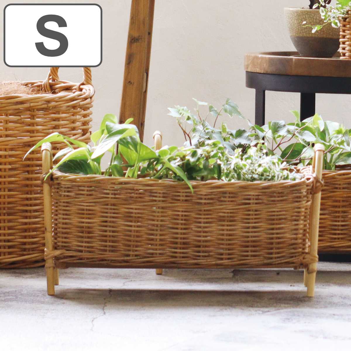 プランタースタンド ロング Ｓ アラログ かご カゴ ラタン 天然素材 バスケット プラントポット ラタンバスケット ポット スタンド 鉢ポット 植木鉢カバー 4号鉢 4号 3個