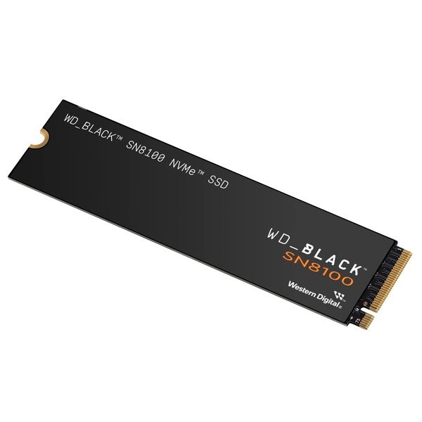 WDS100T1X0M 内蔵SSD (M.2 2280・1TB)