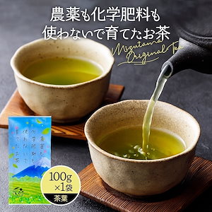 化学肥料等を使わないで育てたお茶 深蒸し茶 100g お茶 緑茶 煎茶 深蒸し茶 国産 静岡 静岡茶 牧之原 牧之原茶 メール便