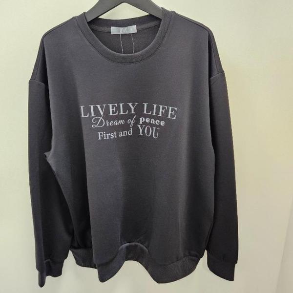 HC07 男性用ビッグサイズ 裏起毛 スウェット BTL750 (S41014945)