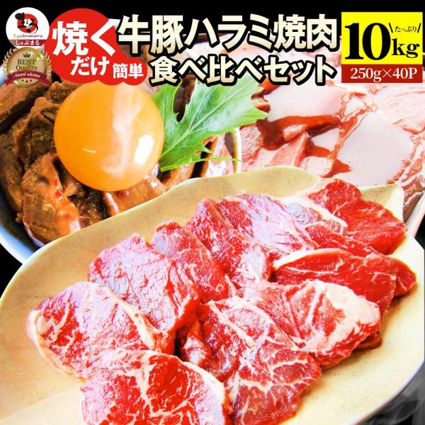 ハラミ 食べ比べ 牛肉 豚肉 焼肉 10kg 250g× 40P メガ盛り 赤身 はらみ バーベ キュー 美味しい お中元 ギフト 食品 プレゼント 女性 男 性 お祝い