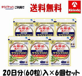 ゆうパケットで送料無料 6個セット 小林製薬の栄養補助食品(サプリメント) サラシア100 20日分(60粒)× 6個セット 血糖値 特定保健用食品 特保