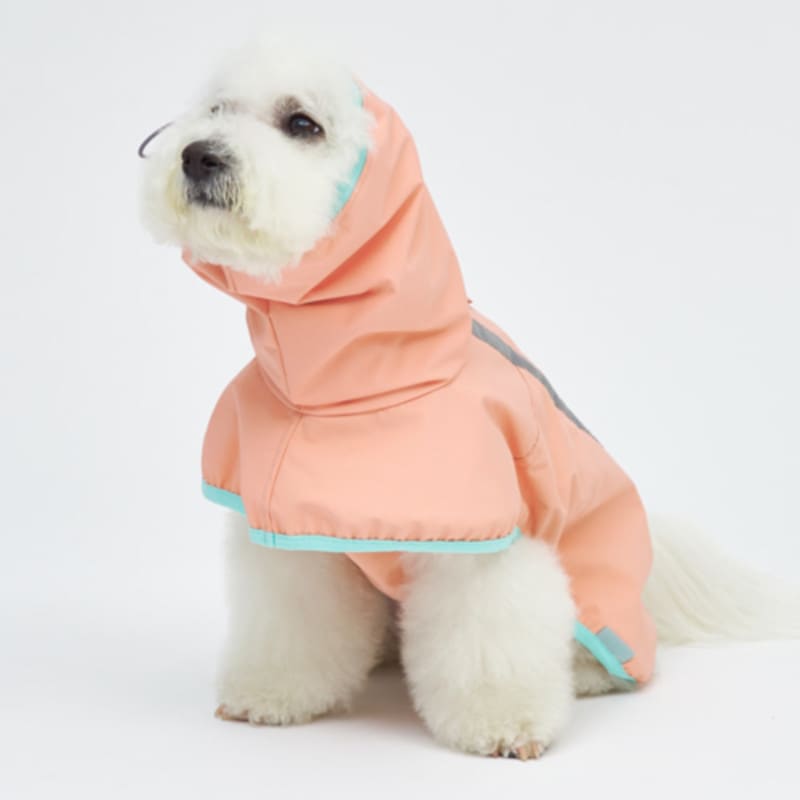 犬用レインコート ハイクオリティー 4COLOR