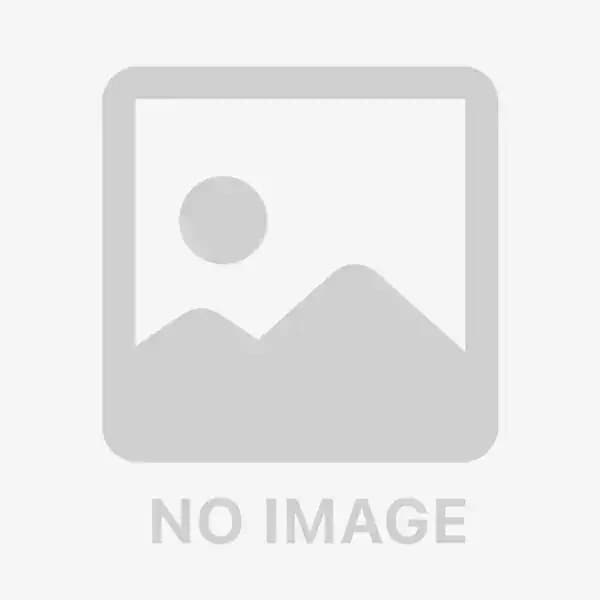 アデランス ビューステージ ベガス プレミアム