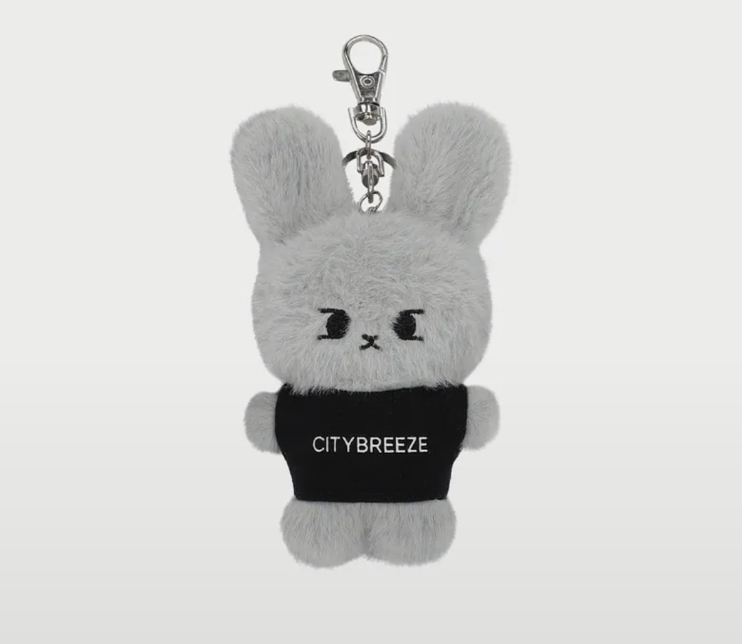 【公式】CITY BREEZE NCT ドヨンコラボ商品 KEYRING GRAY