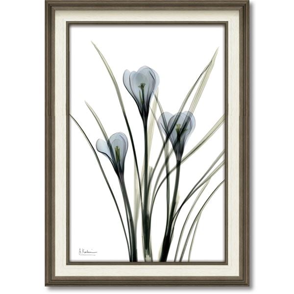 ユーパワー X-RAYキャンバスアート 「クロッカス」（Mサイズ）