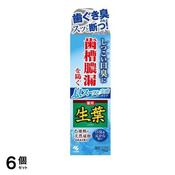 生葉(しょうよう)息スーッと実感タイプ 100g 6個セット