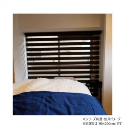 30000011 トーソー(TOSO) 調光ロールスクリーン センシア チョコレ-ト 90X200cm