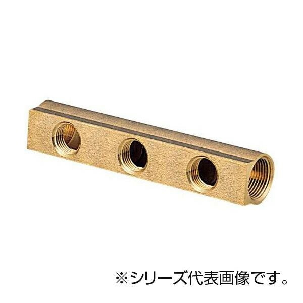 SANEI ヘッダー T671N-5-20