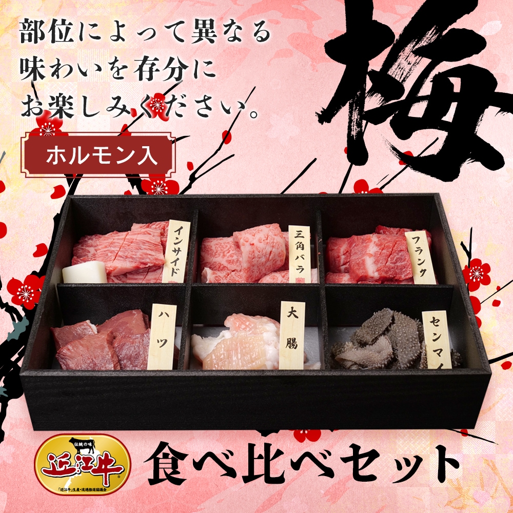 ホルモン入り近江牛食べ比べセット【梅】　牛肉 厳選 肩ロース 内モモ ウデ 小腸 大腸 ハチノス 焼肉
