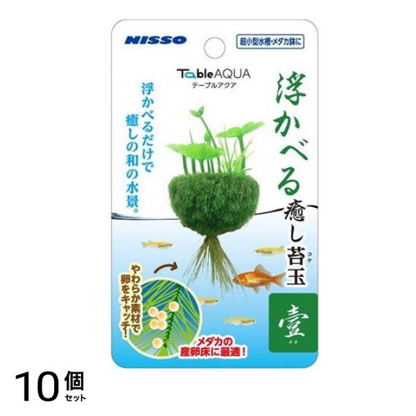 ニッソー テーブルアクア 浮かべる癒し苔玉 壹(イチ) 1個入 10個セット