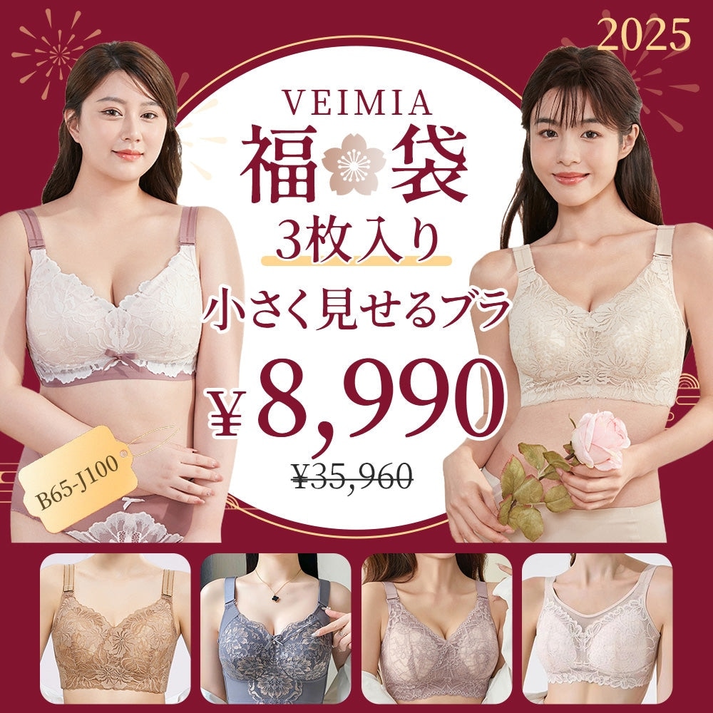 福袋ブラジャー HAPPY BOX 2025新春福袋 小さく見せるブラ3枚セット【B-Jカップ】ノンワイヤーブラ 胸が小さく見えるブラ 大きな胸を小さく見せるブラレディース下着 7,672円