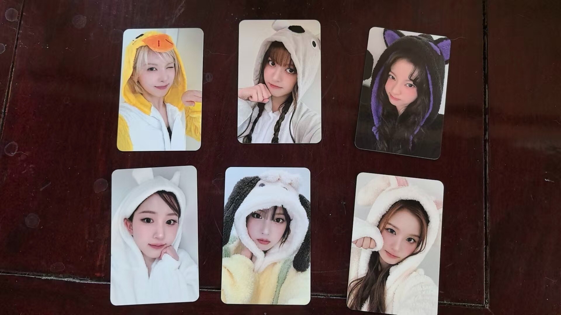 公式品 nmixx 動物 特典 トレカ 全員6枚セット