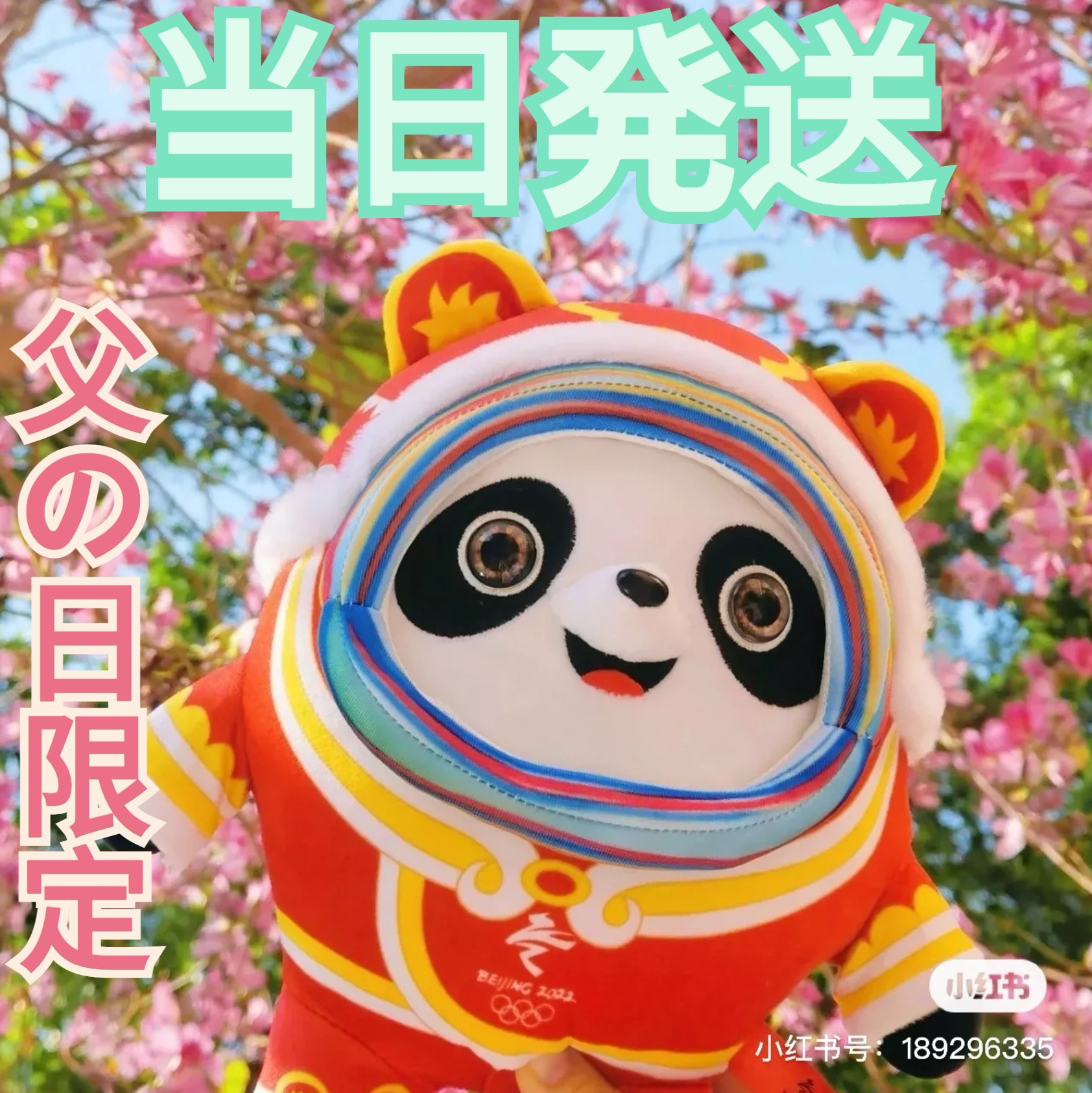 ビンドゥンドゥン北京オリンピック2022オフィシャル公式記念メダル（限定商品） Qoo10] 北京オリンピック2022 ビンドゥンドゥ
