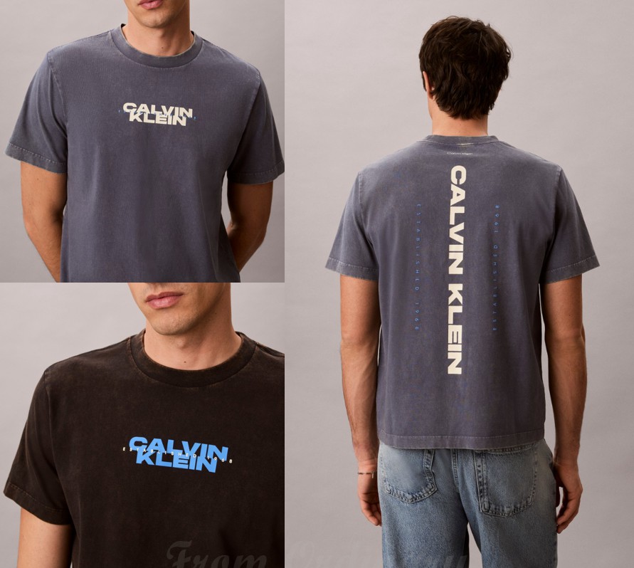 Washed Graphic T-Shirt (4RG834G)