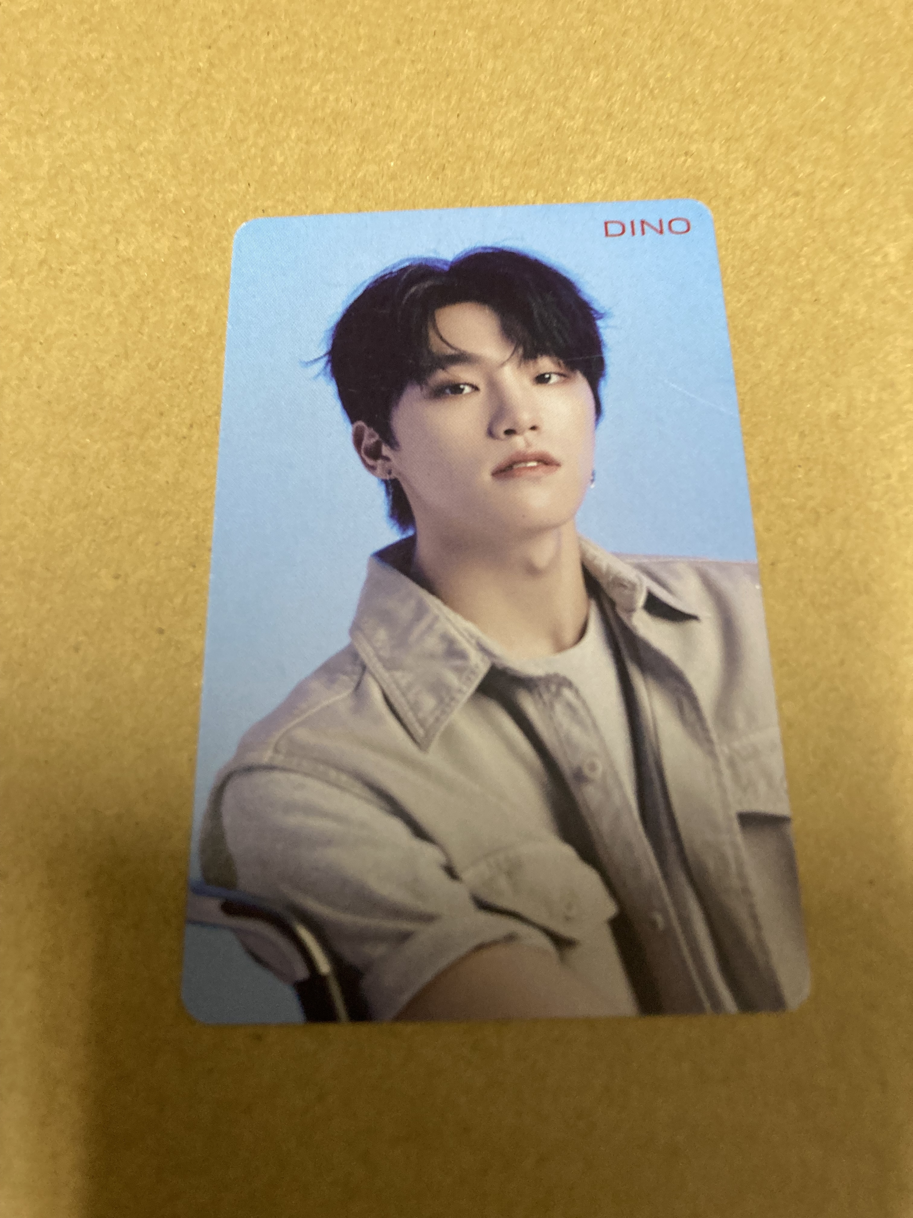 SEVENTEEN 24H HMV特典カード DINO 新品