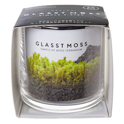 他サイト： グラストモスＳ　コケテラリウム　栽培セット　家庭菜園　ギフト　苔　苔テラリウム　ＣＲＣ15―25―60―00―00の商品画像