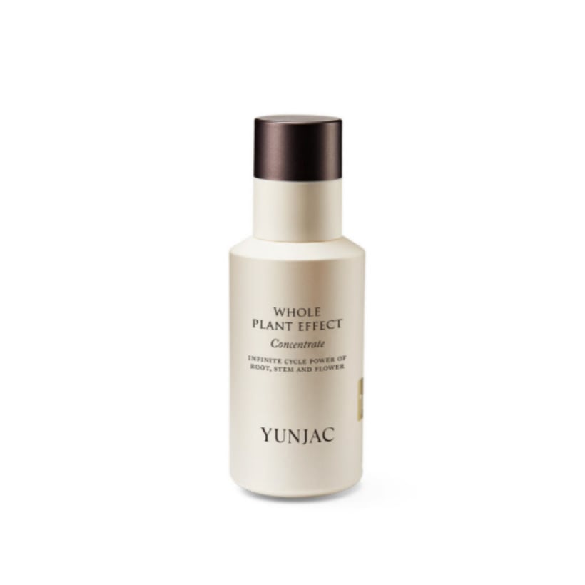 [プレミアムうるツヤ] 全草 コンセントレート 40ml / 美容液 エッセンス 水分 バリア ハリ 肌キメ 導入液 スキンケア 韓国コスメ