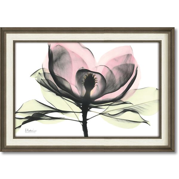 ユーパワー X-RAYキャンバスアート 「ピンクマグノリア」（Mサイズ）