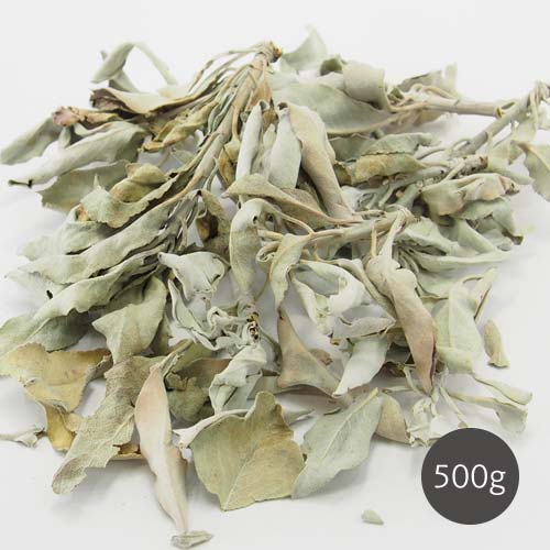 【送料無料】 ホワイトセージ 浄化 クラスター 500g アウトレット 緑色の葉 茶色い葉 white sage お香 アロマ インセンス オーガニック 無農薬 卸 おこう リラックス おしゃれ オシ