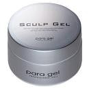 para gel　パラジェル　スカルプジェル１０ｇ