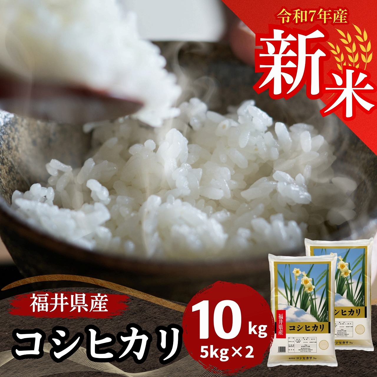 【数量限定】新米 福井県産コシヒカリ10kg(5kg2袋) 白米　令和7年産