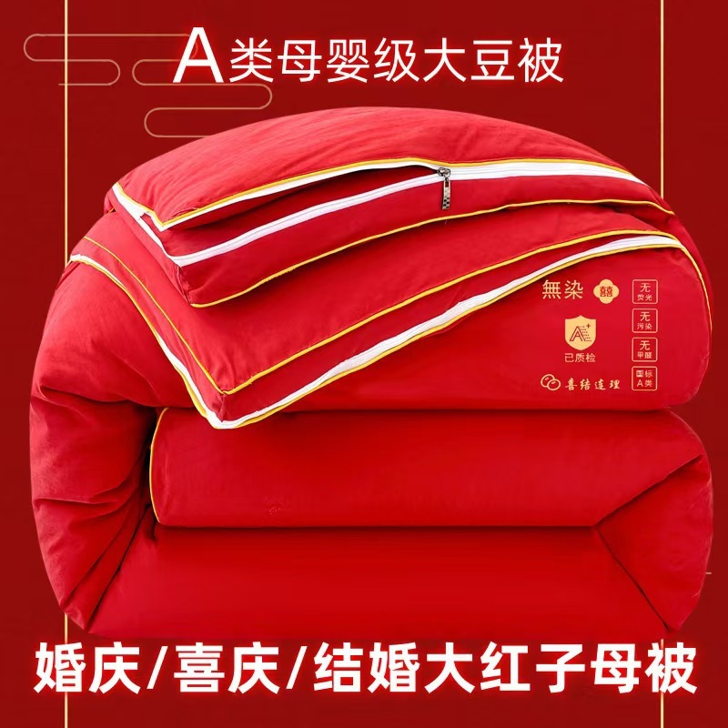 結婚式のビッグレッドマザーキルトツーインワンツインキルトフェスティブウェディングドウリー寝具春の冬のキルトコア