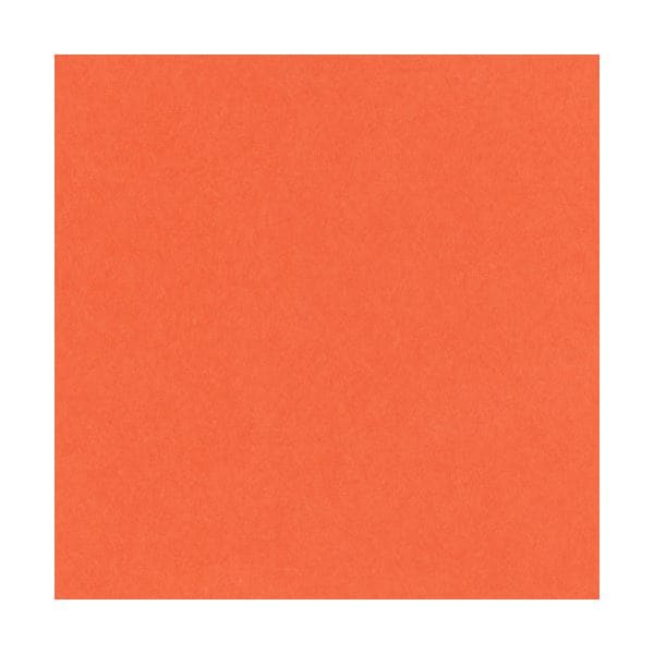 リンテック ニューカラーR 四つ切 しゅいろ 4NCR-235 100枚